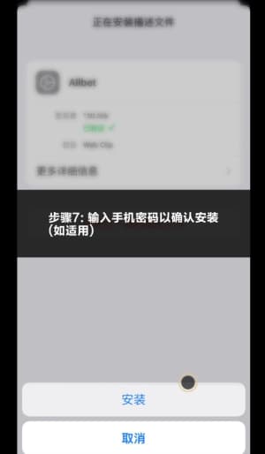 欧博iOS端安装流程示意图7